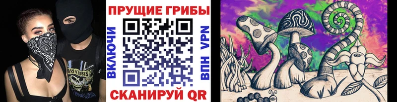 Псилоцибиновые грибы Psilocybe Костерёво